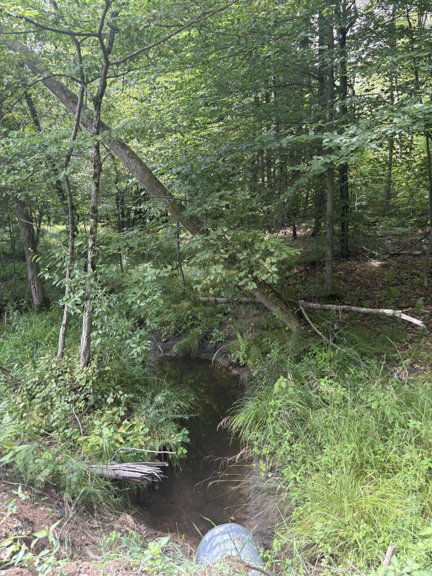 5 5 Mile Road Morley, MI 49336 - Photo 158 of 169 IMG_8419