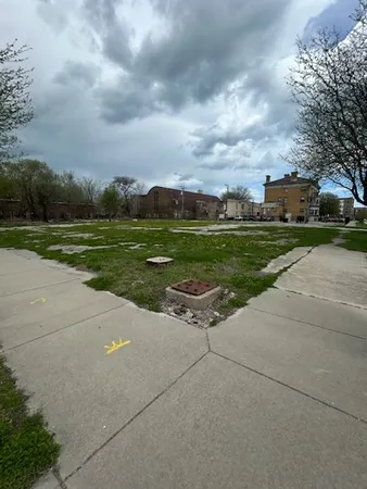 a view of a street with a big yard and a large tree
