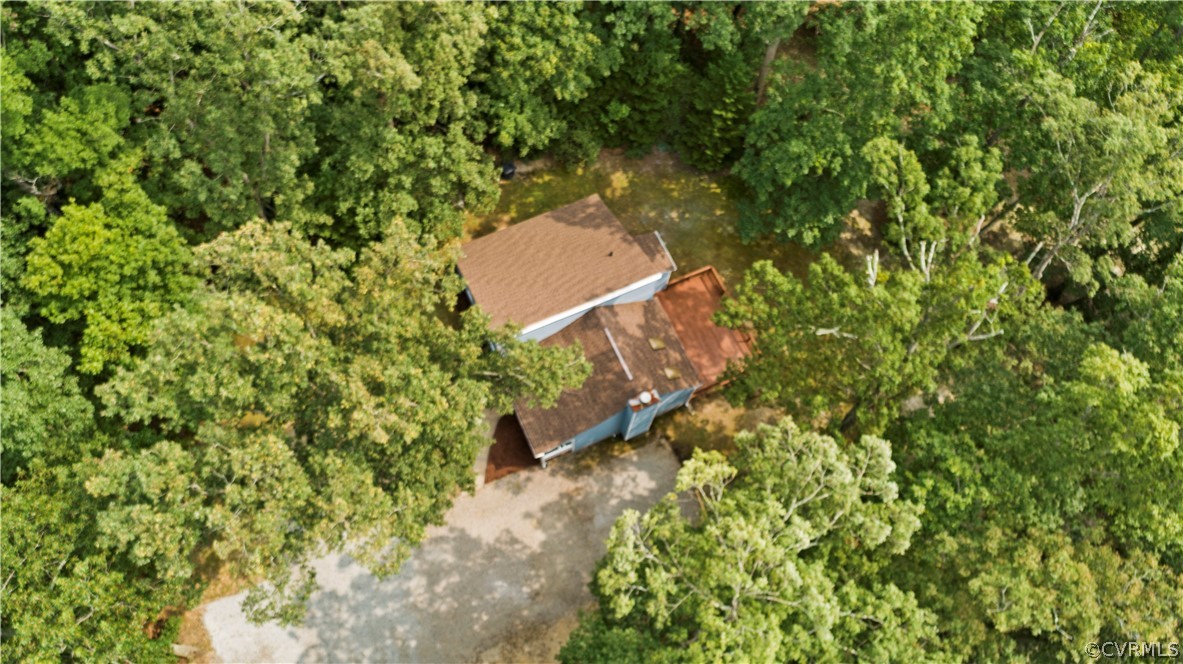 10911 Berrand Road North Chesterfield, VA 23236 - Photo 4 of 44 a view of a yard with a tree
