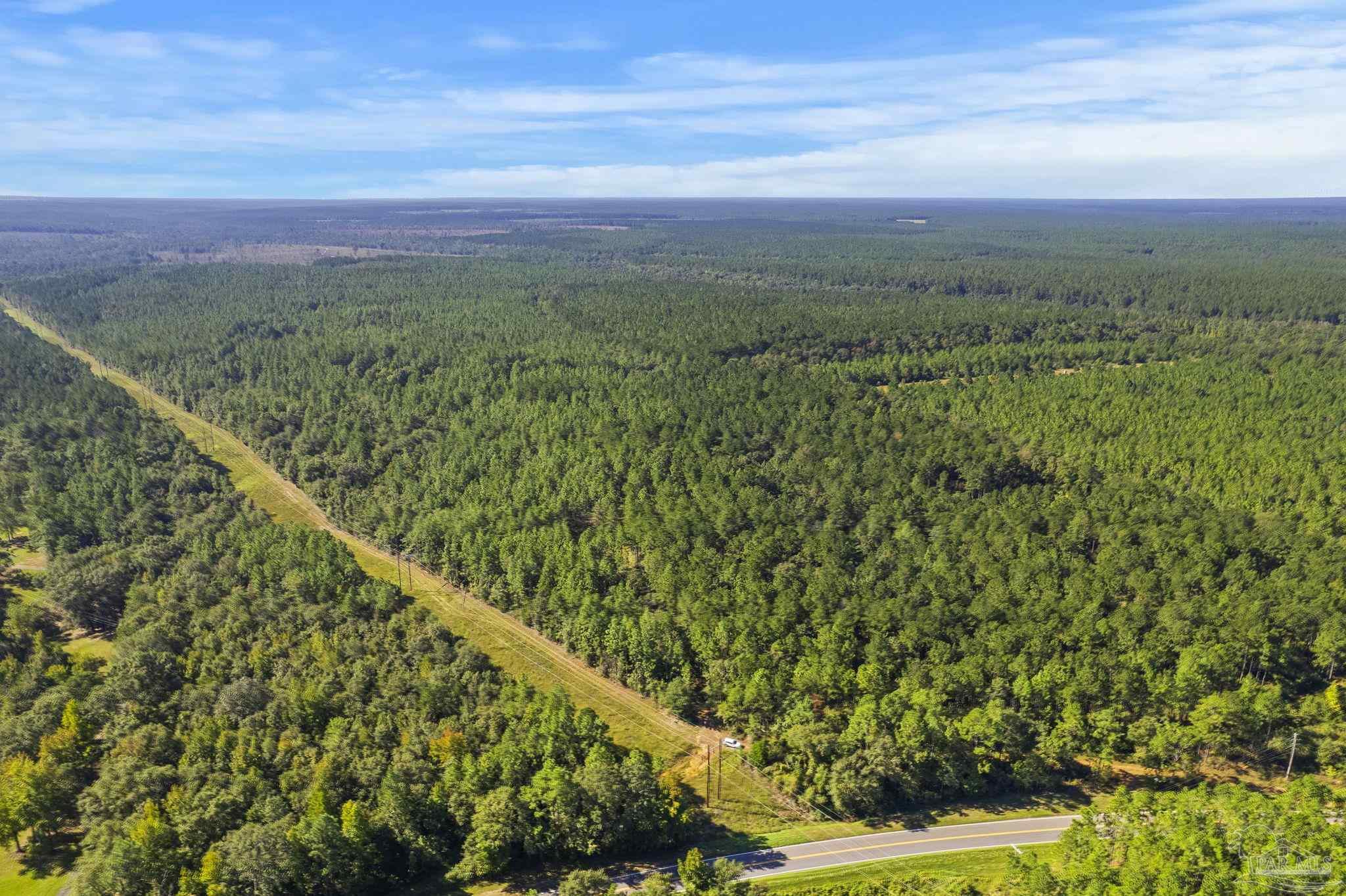 0 Nokomis Road Walnut Hill, FL 32568 - Photo 50 of 51