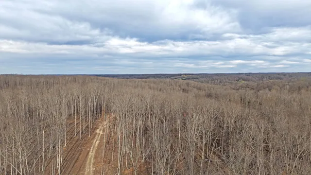 $215,000 | 1 L Oak Rdg Road, Vanleer, TN 37181