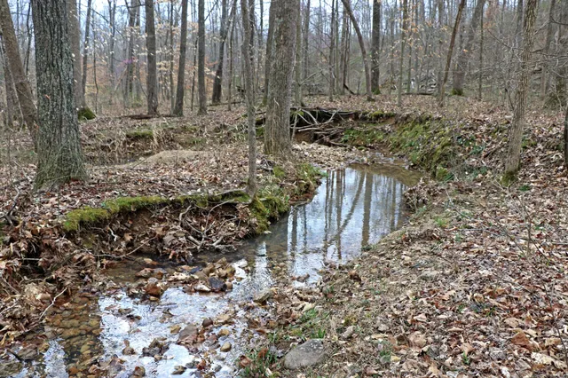 $215,000 | 1 L Oak Rdg Road, Vanleer, TN 37181