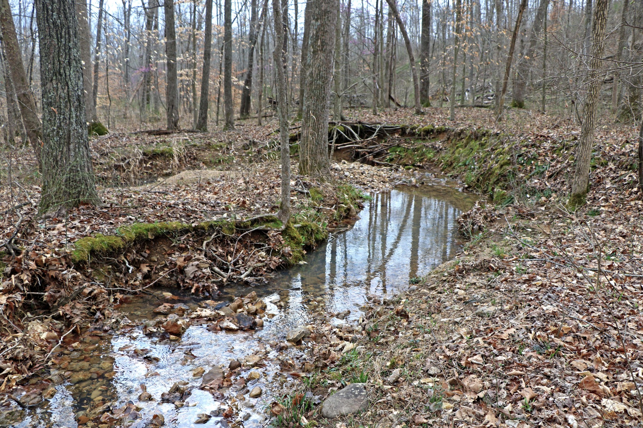 1 L Oak Rdg Road Vanleer, TN 37181 - Photo 2 of 10