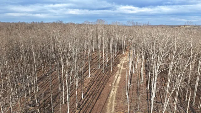 $215,000 | 1 L Oak Rdg Road, Vanleer, TN 37181