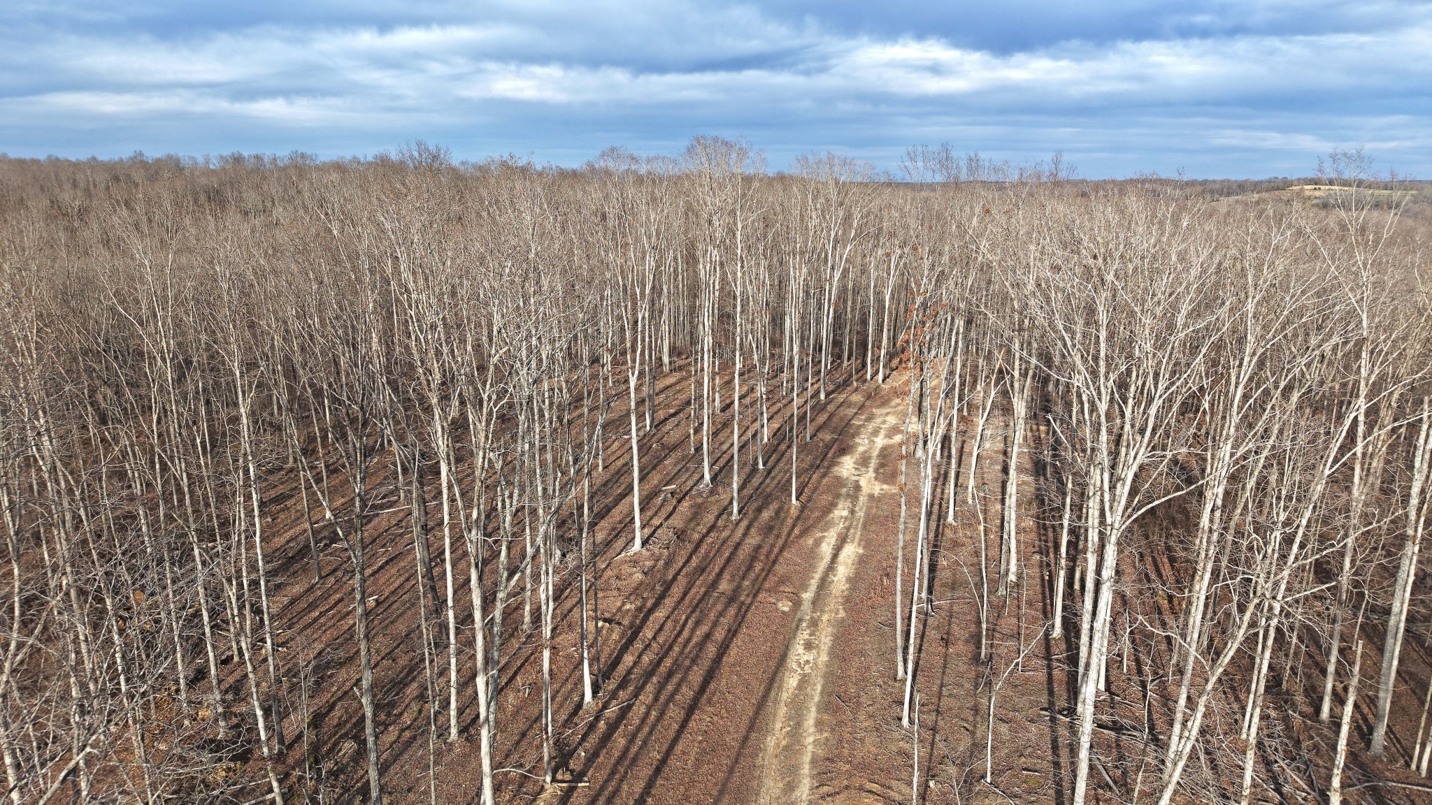1 L Oak Rdg Road Vanleer, TN 37181 - Photo 3 of 10