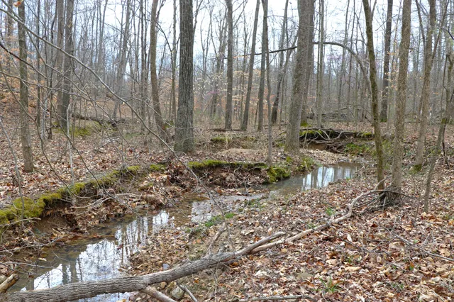 $215,000 | 1 L Oak Rdg Road, Vanleer, TN 37181