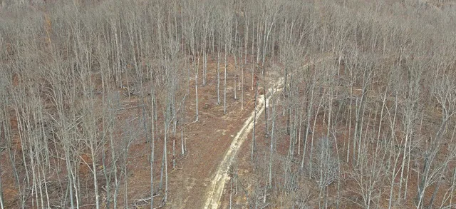 $215,000 | 1 L Oak Rdg Road, Vanleer, TN 37181