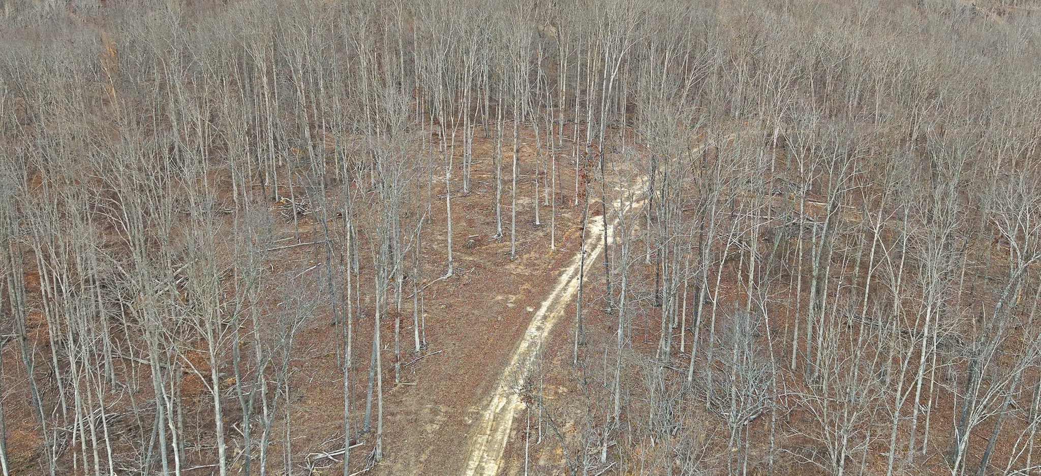 1 L Oak Rdg Road Vanleer, TN 37181 - Photo 5 of 10