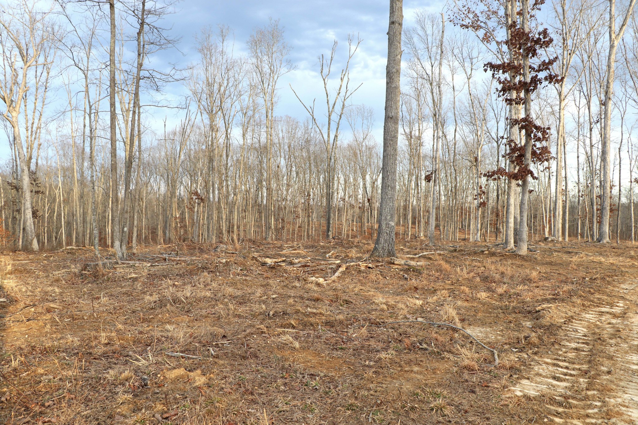 1 L Oak Rdg Road Vanleer, TN 37181 - Photo 6 of 10