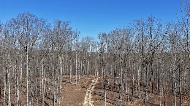 $215,000 | 1 L Oak Rdg Road, Vanleer, TN 37181