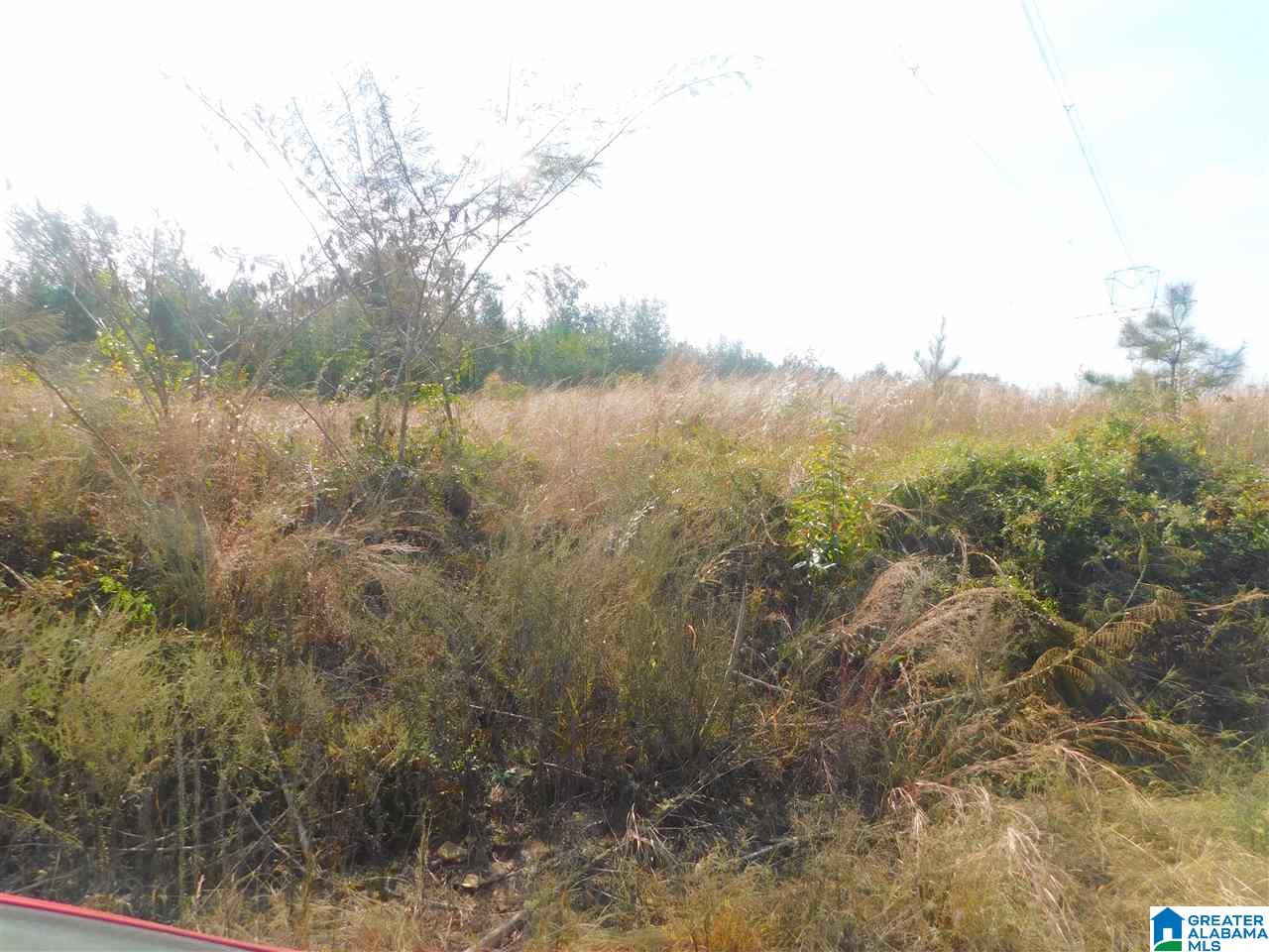 Arkadelphia Road Hayden, AL 35079 - Photo 1 of 5