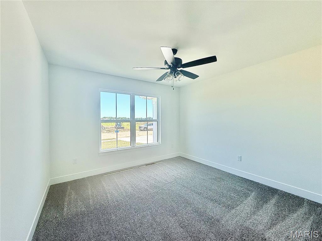 308 Rumsfeld Drive Troy, IL 62294 - Photo 56 of 99