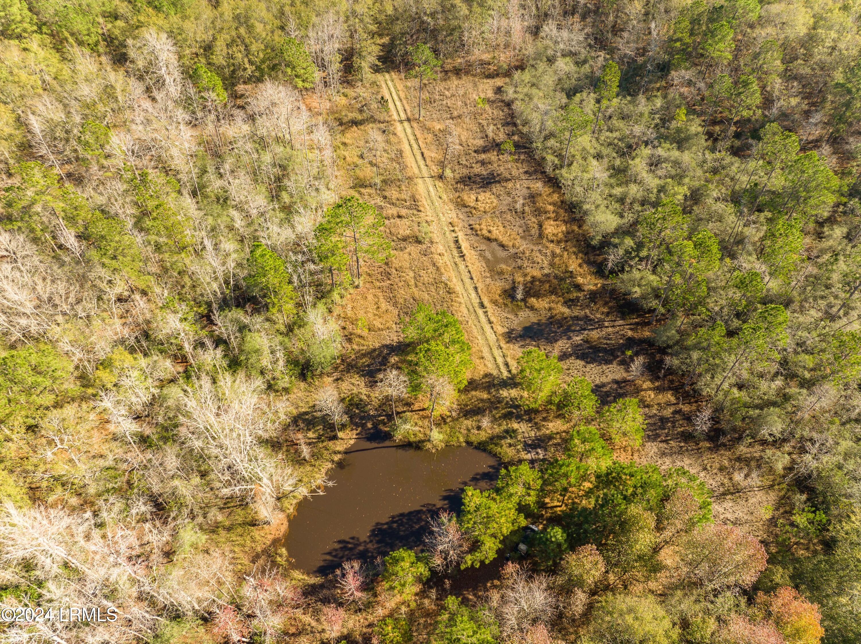 Tbd - B Pond Town Road Brunson, SC 29911 - Photo 1 of 3 DJI_0517-1.jpg-SMALL