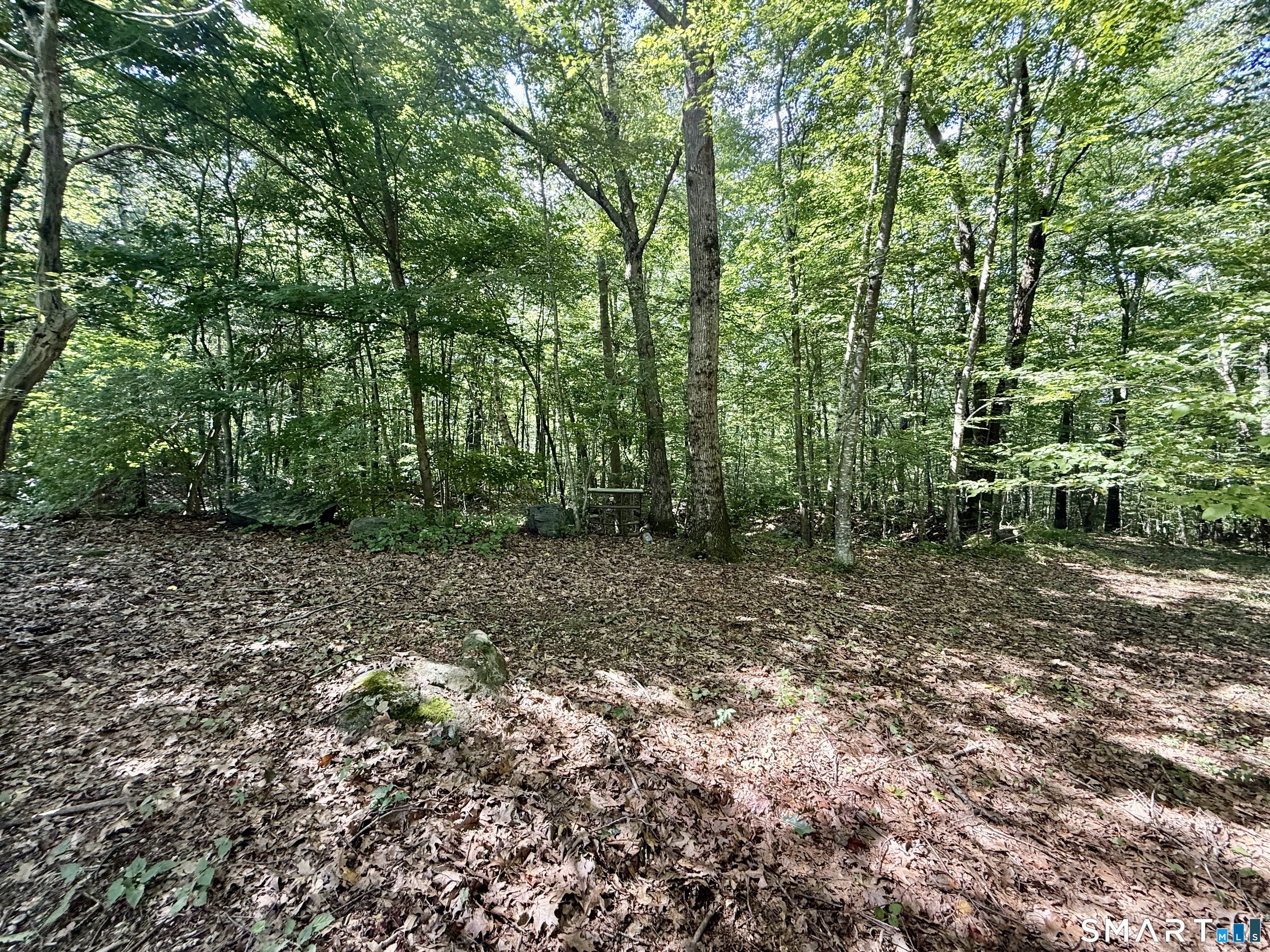 221 Gates Road Lebanon, CT 06249 - Photo 4 of 11 Gallery Image 4