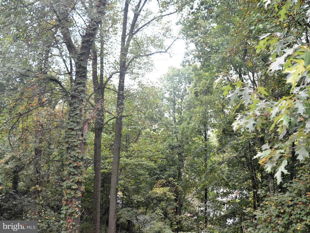 627 Jonathan Road Linden, VA 22642 - Photo 30 of 30 View from deck (fall/winter mountain view)