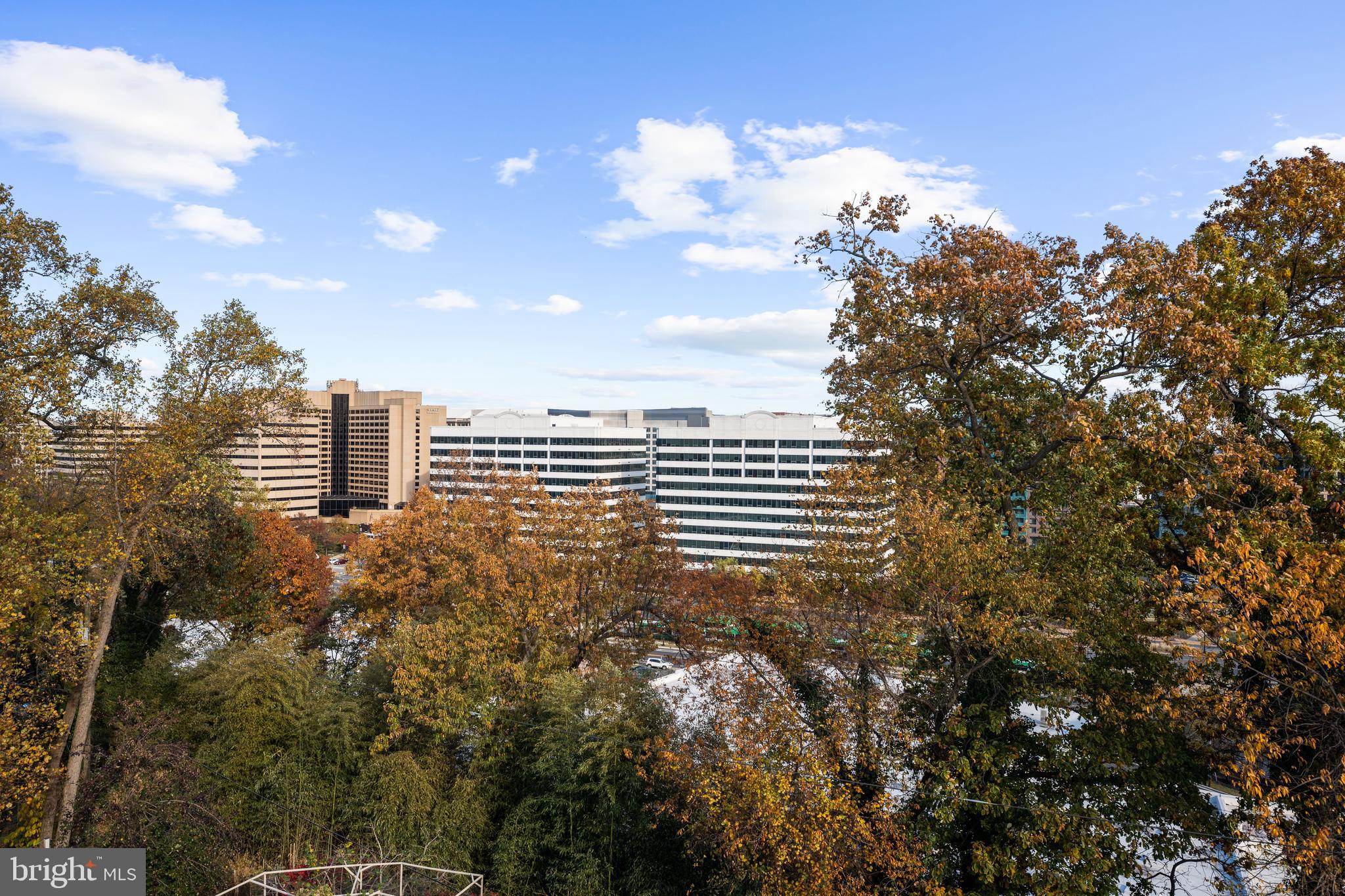 600 29th Road South Arlington, VA 22202 - Photo 40 of 62 View from Roof Deck