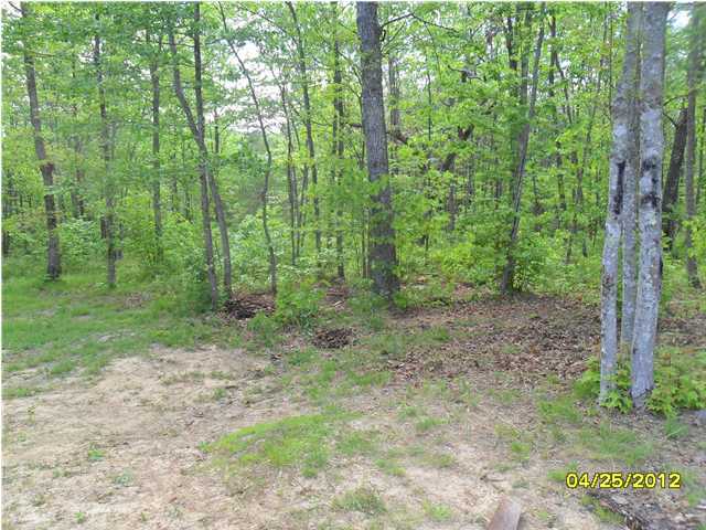 463 Davis Cemetery Road Dunlap, TN 37327 - Photo 11 of 19 Additional Photo