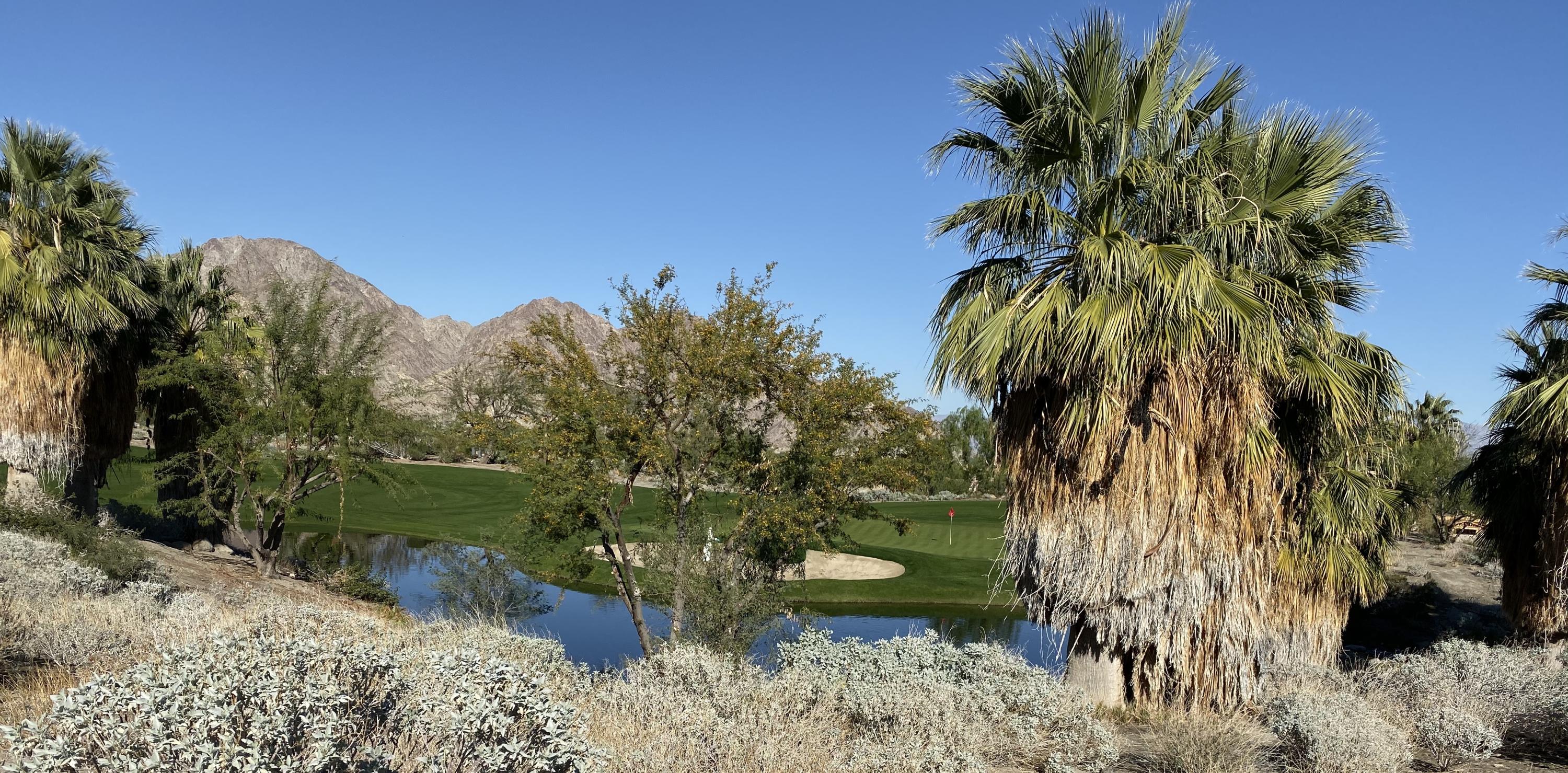 58805 Quarry Ranch Road La Quinta, CA 92253 - Photo 4 of 5 IMG_0046