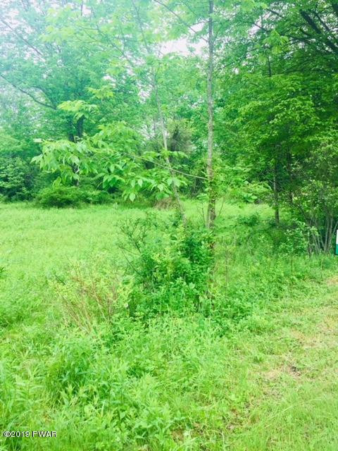 Lot 8 Prompton Road Honesdale, PA 18431 - Photo 4 of 6