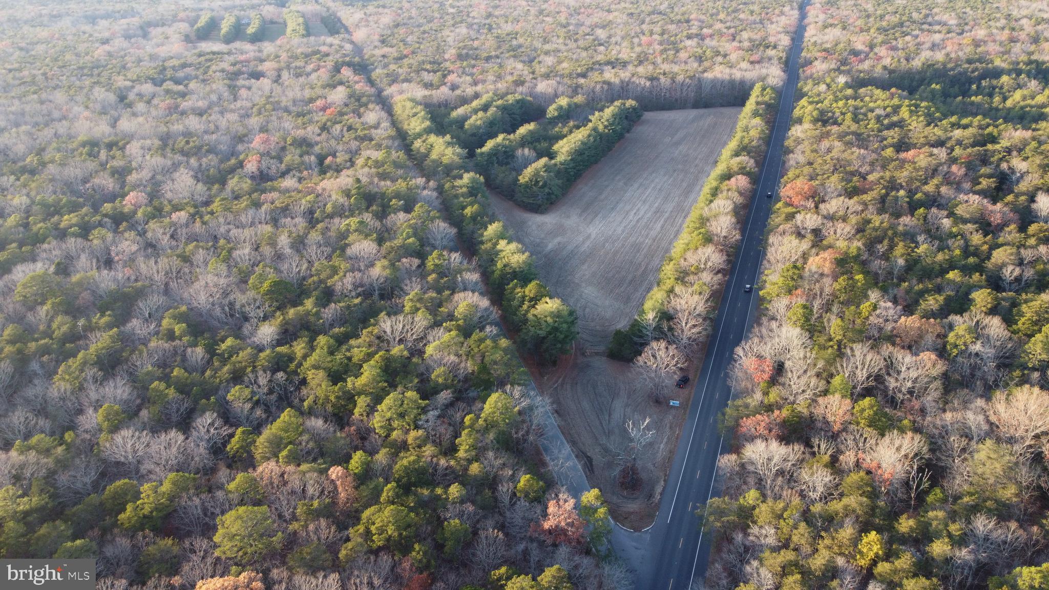 347 Carlisle Place Road Leesburg, NJ 08327 - Photo 1 of 11 a view of a yard