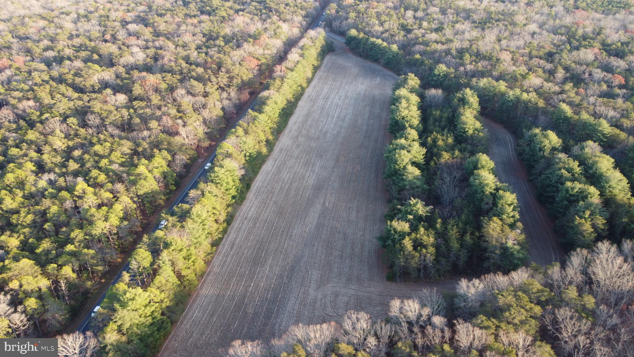 347 Carlisle Place Road Leesburg, NJ 08327 - Photo 2 of 11 a view of a yard