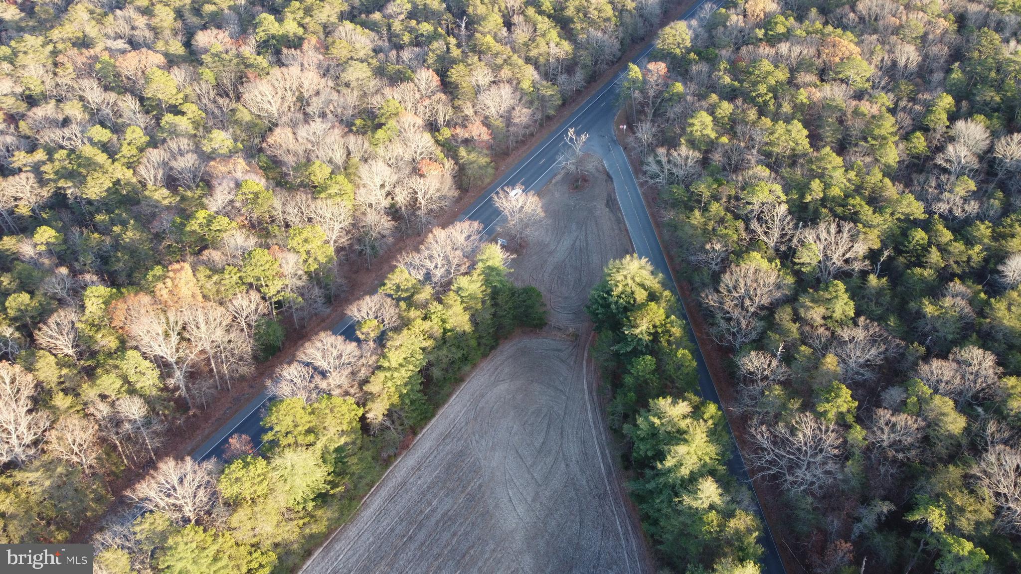 347 Carlisle Place Road Leesburg, NJ 08327 - Photo 4 of 11 a view of a garden with plants
