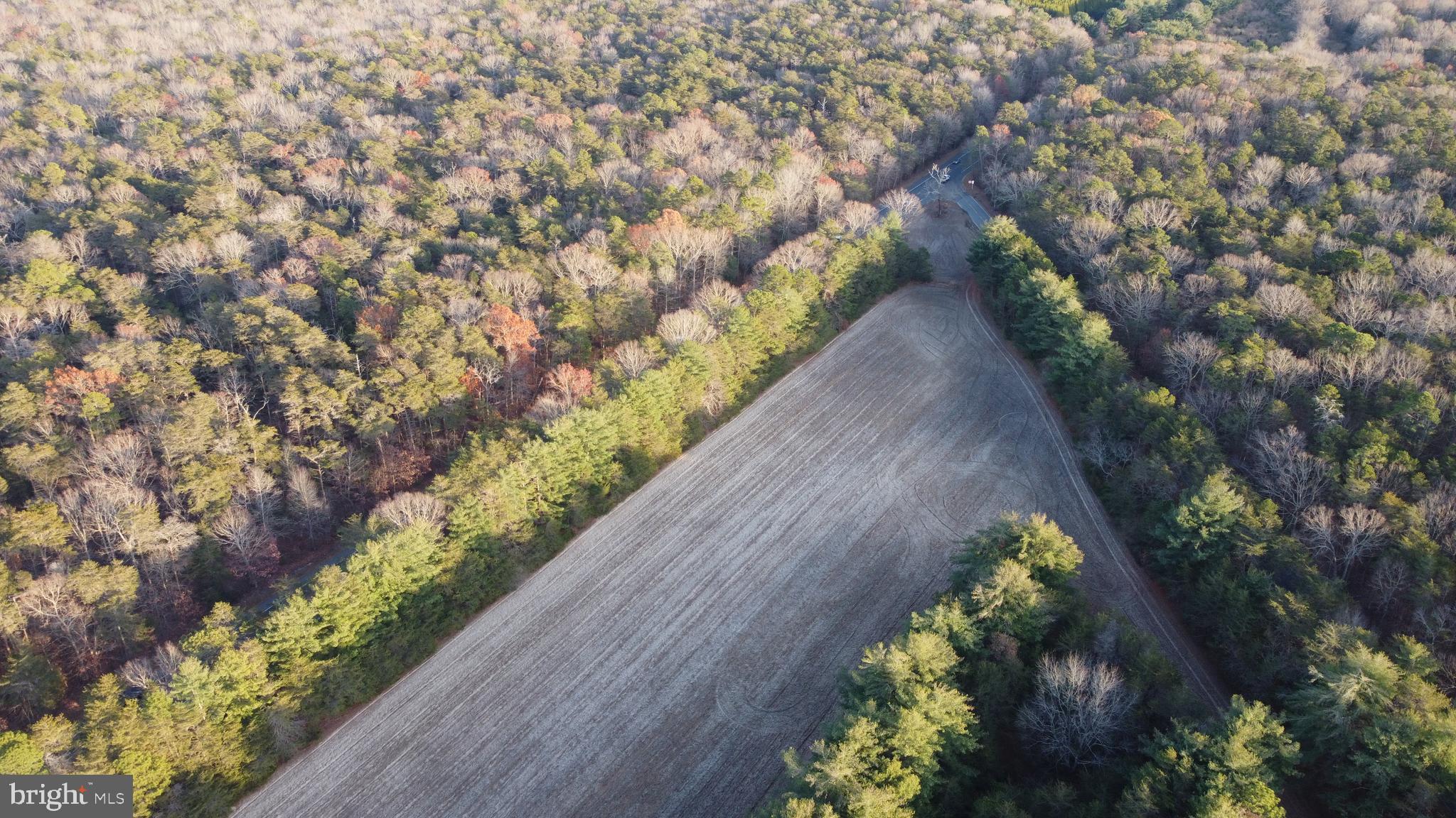 347 Carlisle Place Road Leesburg, NJ 08327 - Photo 5 of 11 a view of a garden with plants