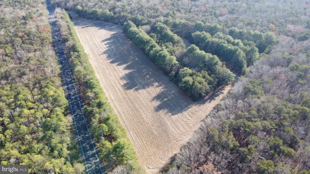 a view of a yard with plants