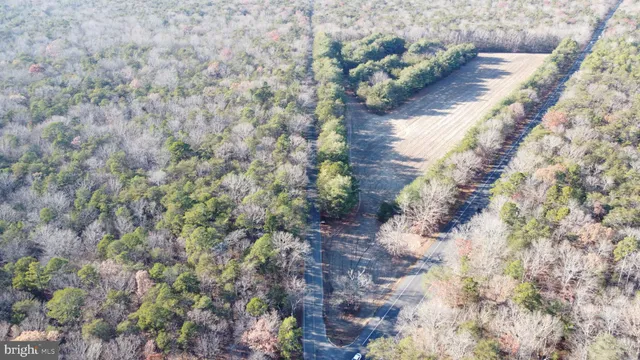 a view of a yard with a yard