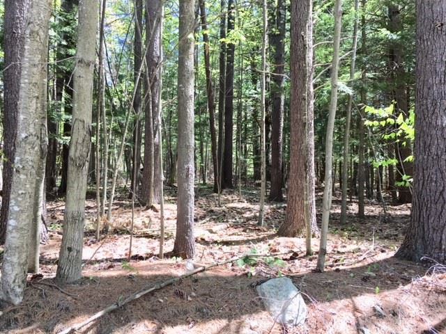 63 River Road Gilford, NH 03249 - Photo 1 of 6