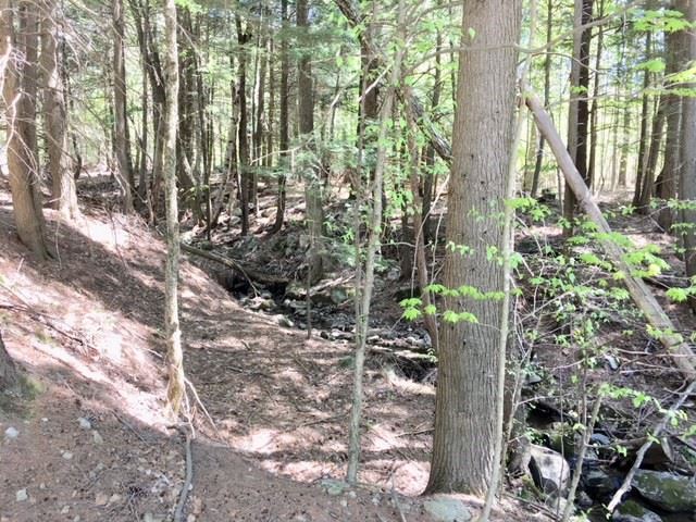 63 River Road Gilford, NH 03249 - Photo 3 of 6