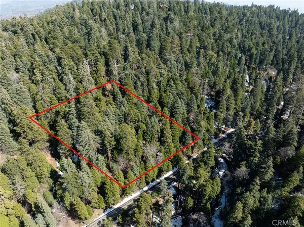 view of outdoor space with lots of trees