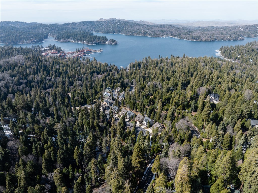 29629 Little Bear Creek Road Cedar Glen, CA 92321 - Photo 2 of 4 a view of lake with mountain