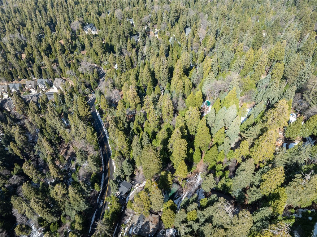 29629 Little Bear Creek Road Cedar Glen, CA 92321 - Photo 3 of 4 a view of a lush green field