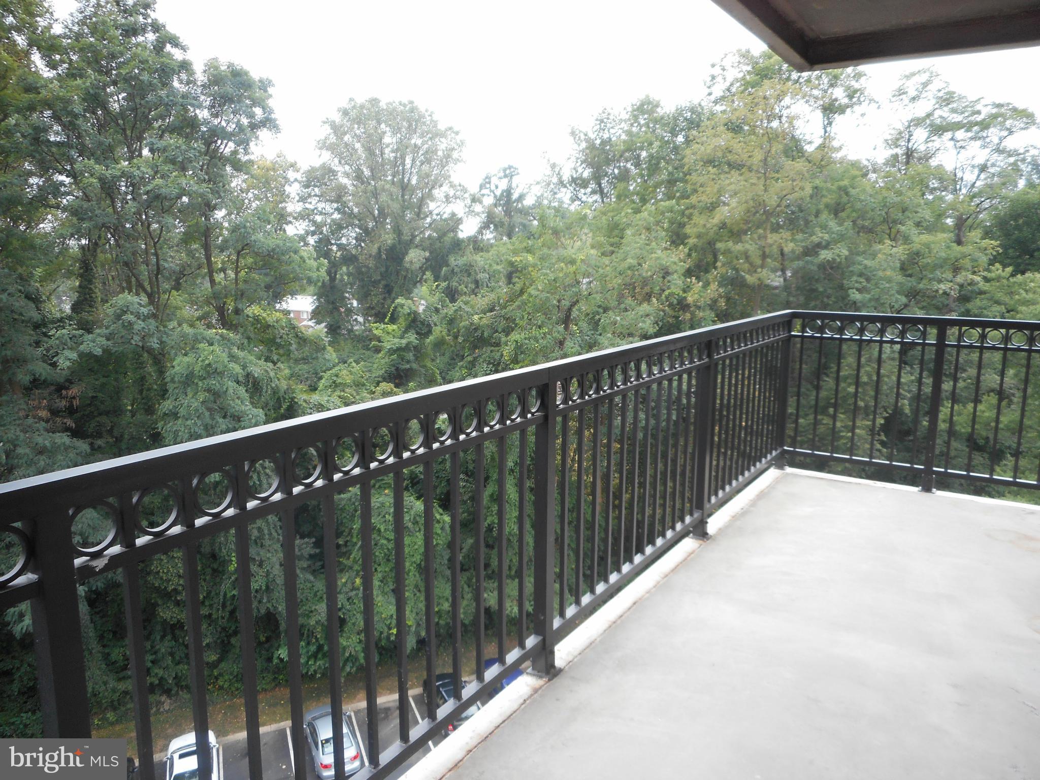 1900 Lyttonsville Road, Unit 807 Silver Spring, MD 20910 - Photo 10 of 29 Balcony