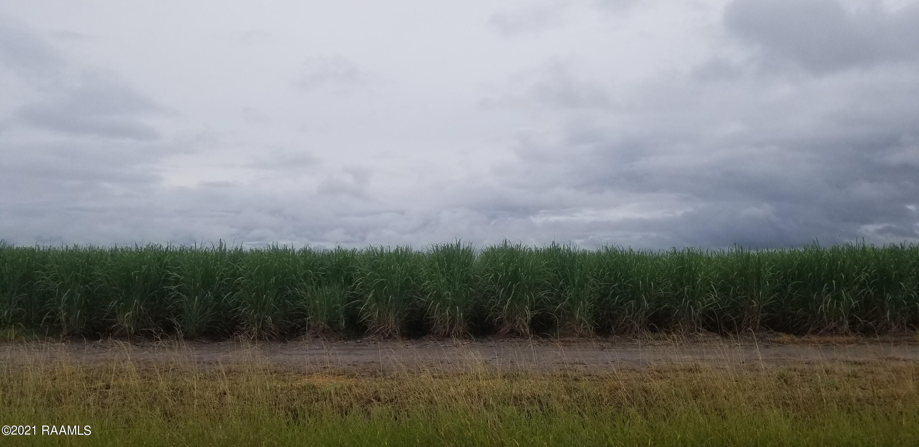 1400-blk Austria Road Duson, LA 70529 - Photo 3 of 15
