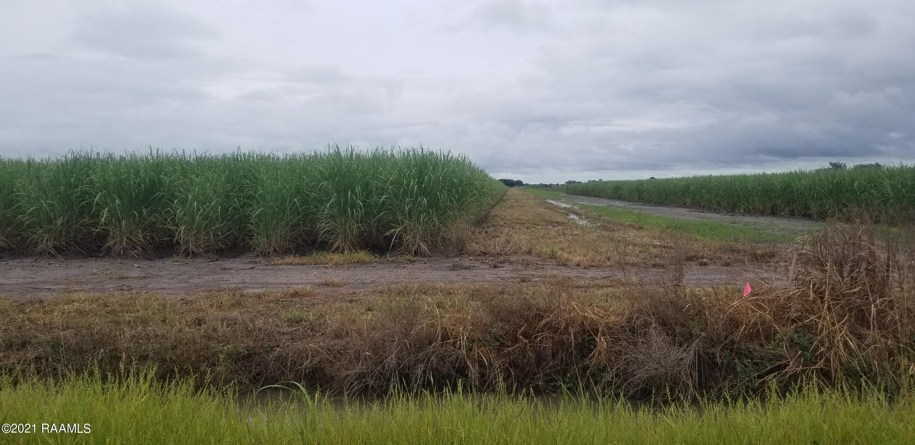 1400-blk Austria Road Duson, LA 70529 - Photo 4 of 15