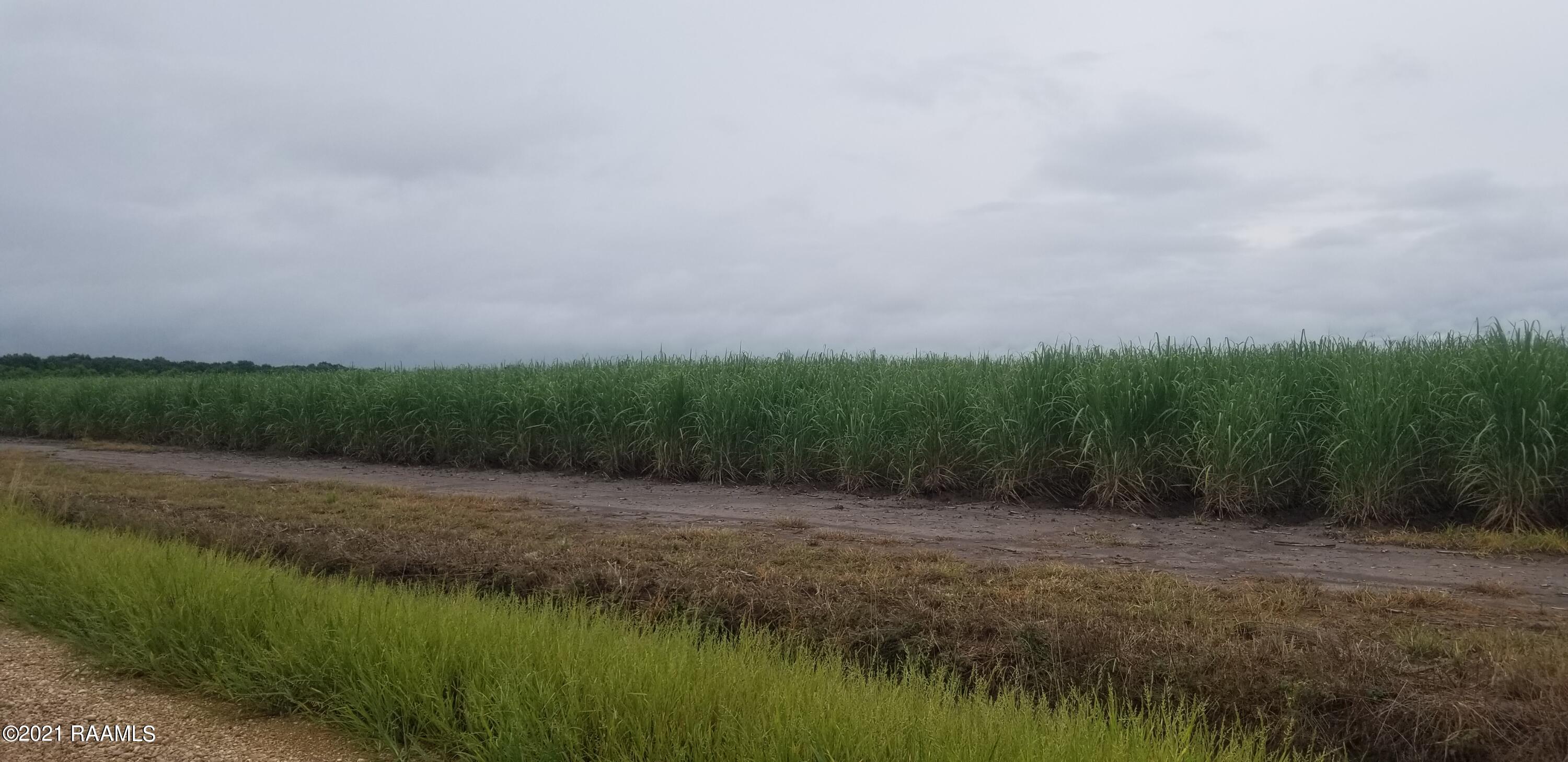 1400-blk Austria Road Duson, LA 70529 - Photo 5 of 15
