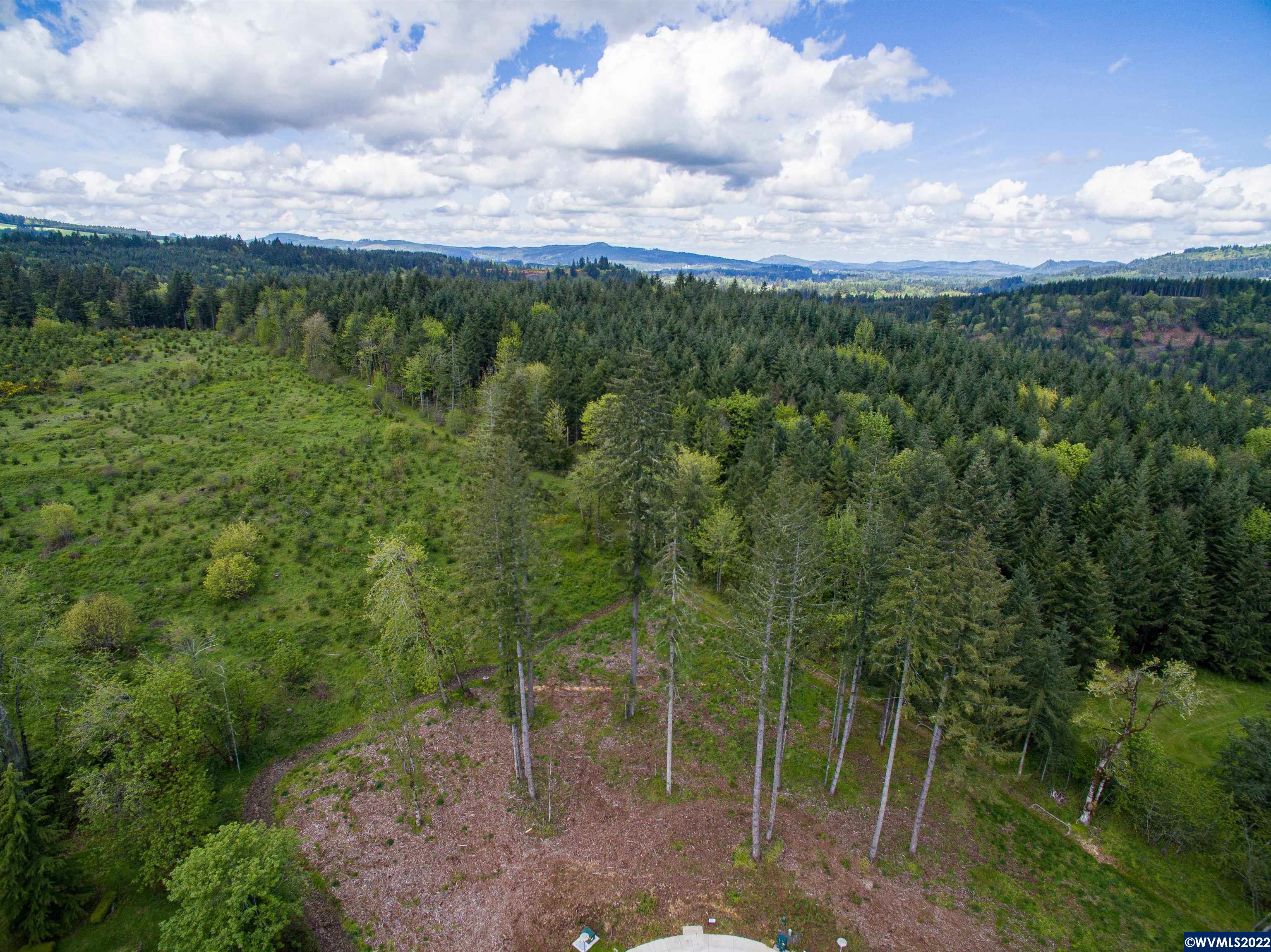 1498 Strawberry Ridge Sweet Home, OR 97386 - Photo 19 of 22