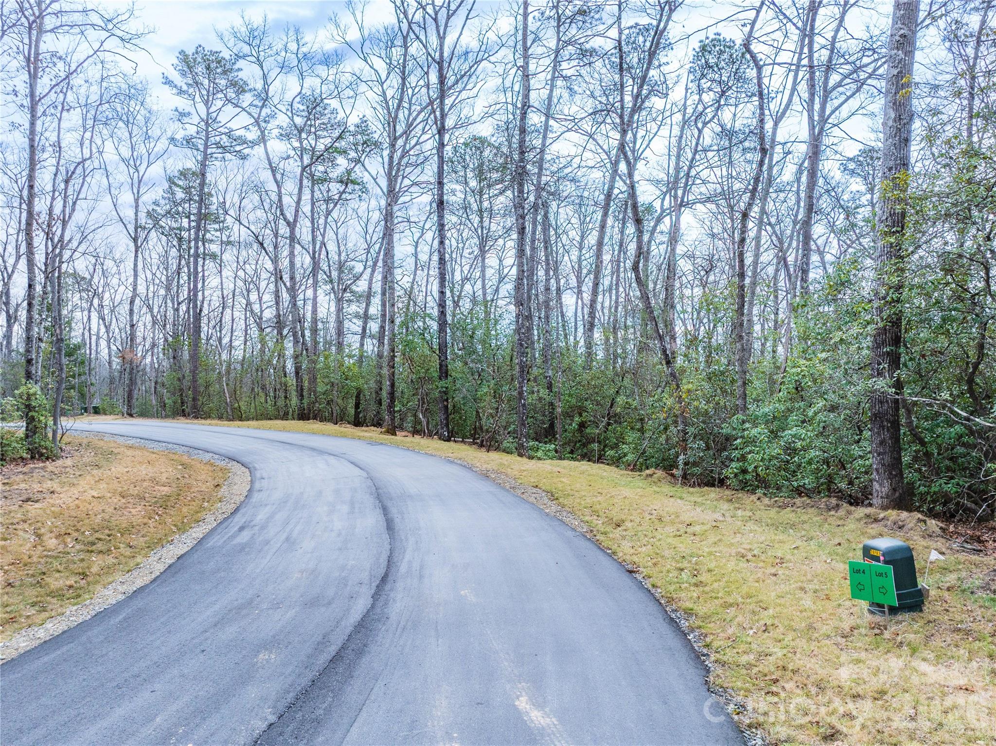 4 Turtle Rdg Trail Mills River, NC 28759 - Photo 2 of 12 a view of a backyard with trees