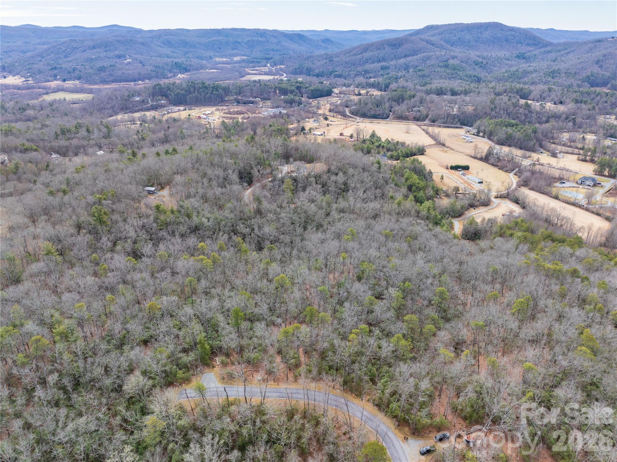 4 Turtle Rdg Trail Mills River, NC 28759 - Photo 7 of 12 a view of city and mountain