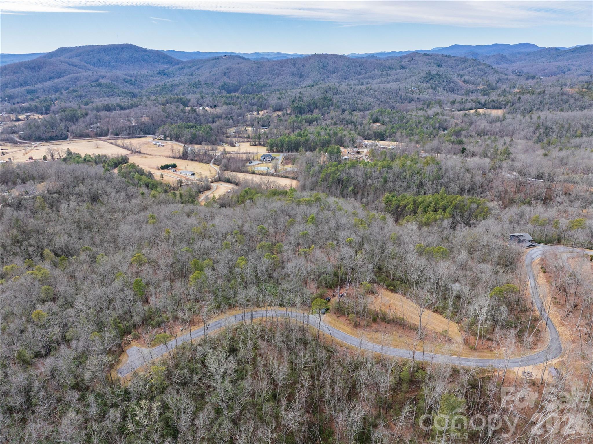4 Turtle Rdg Trail Mills River, NC 28759 - Photo 10 of 12 a view of a mountain in the distance