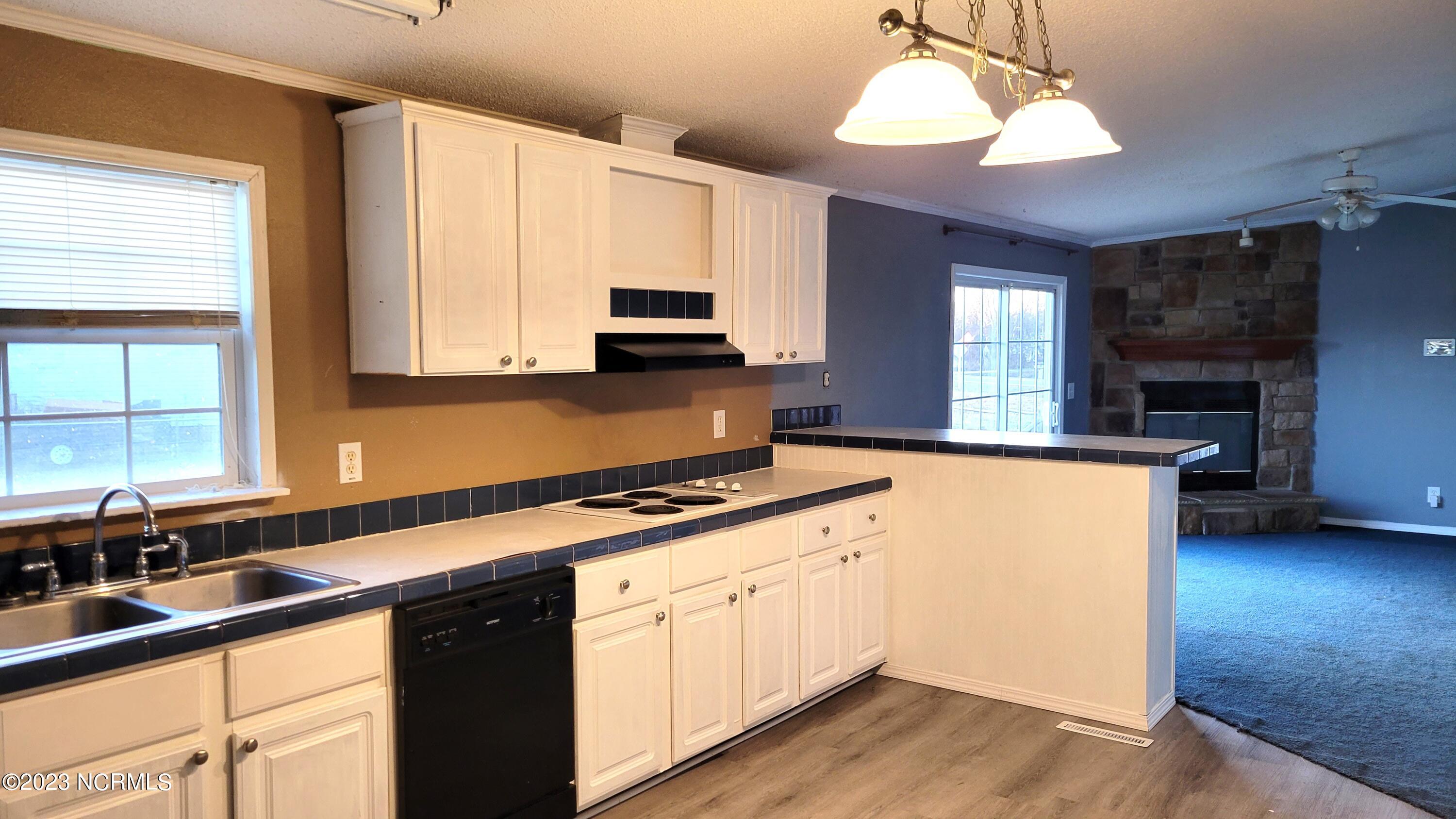 593 Old Snow Hill Road Ayden, NC 28513 - Photo 5 of 20 Kitchen
