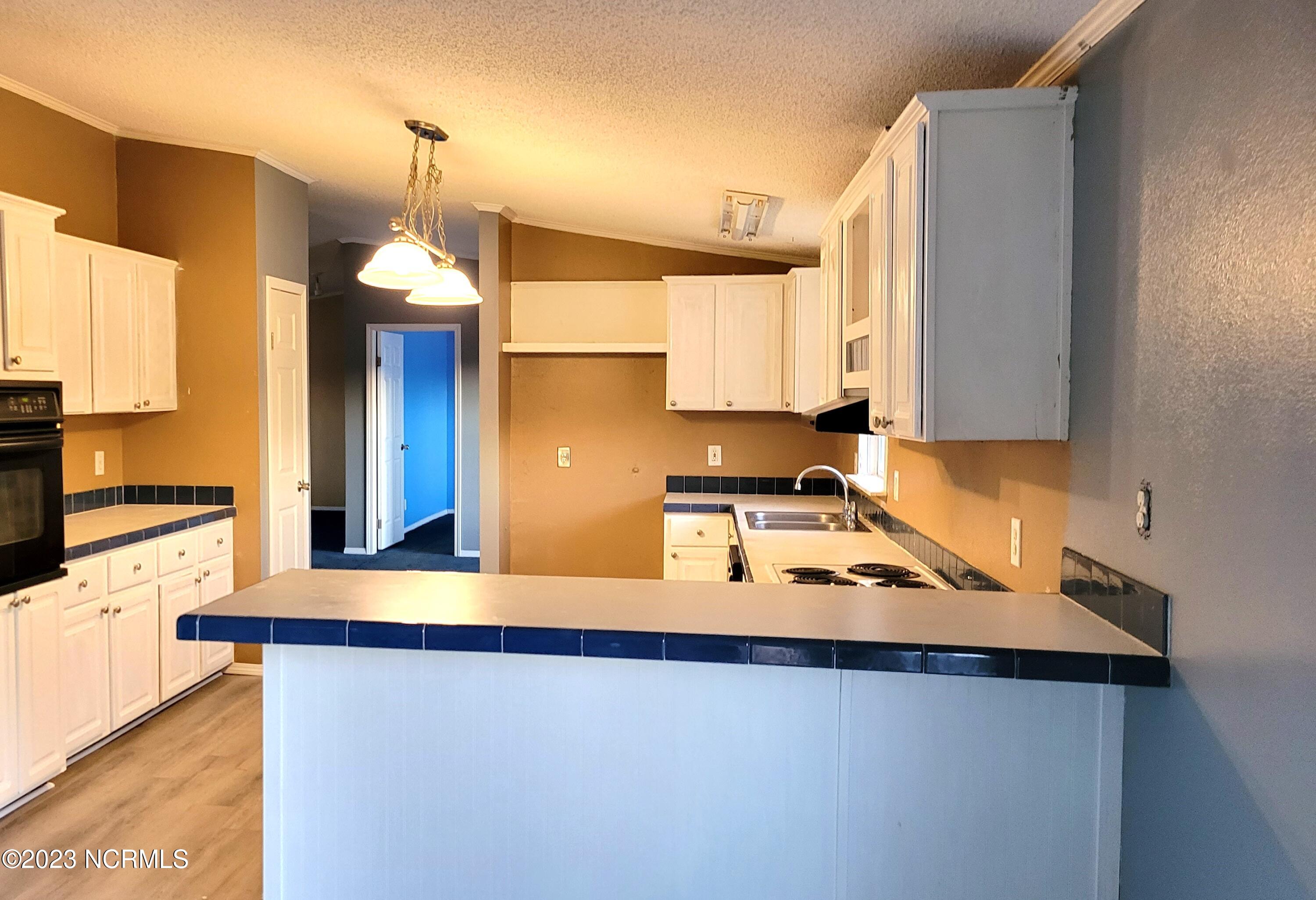 593 Old Snow Hill Road Ayden, NC 28513 - Photo 6 of 20 Kitchen