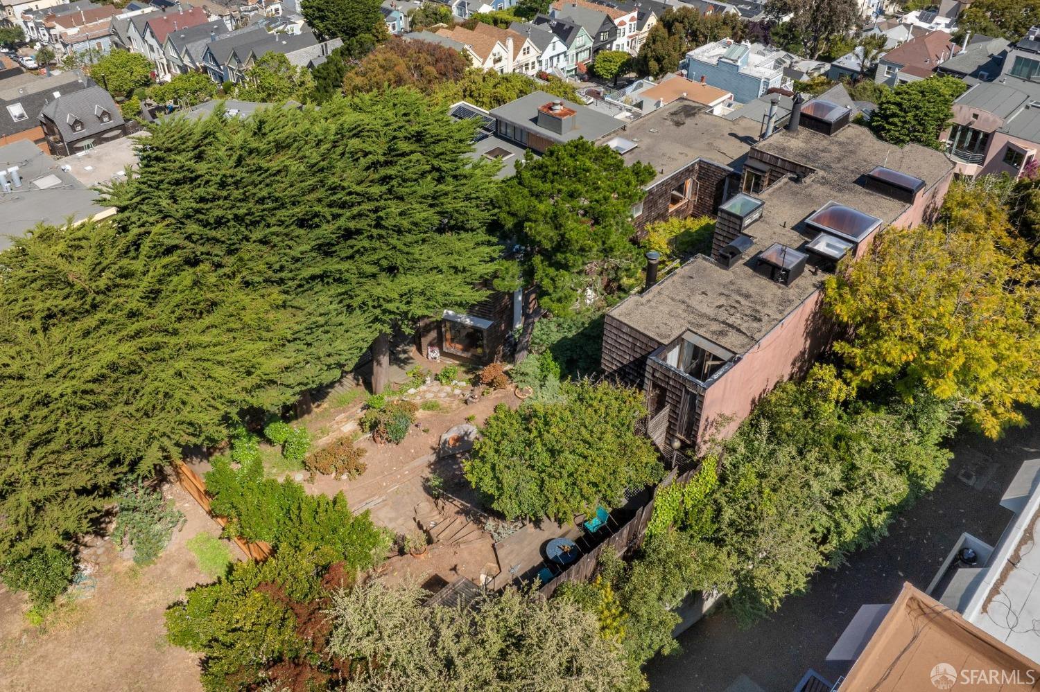 4071 20th Street San Francisco, CA 94114 - Photo 13 of 27 a picture of plants