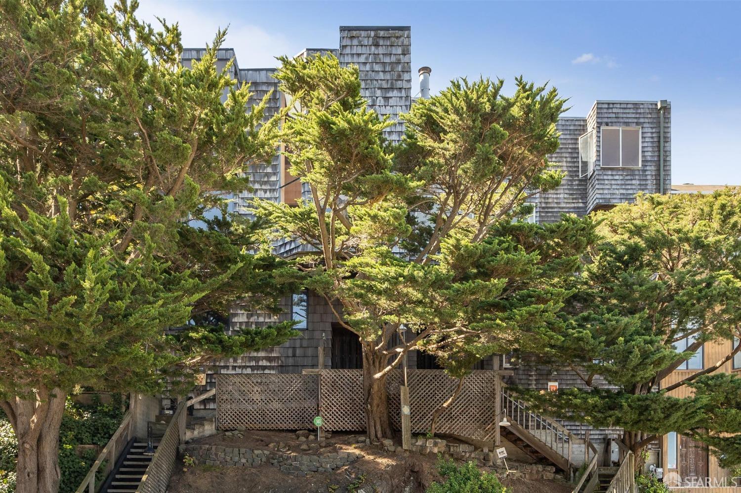 4071 20th Street San Francisco, CA 94114 - Photo 2 of 27 a picture of plants