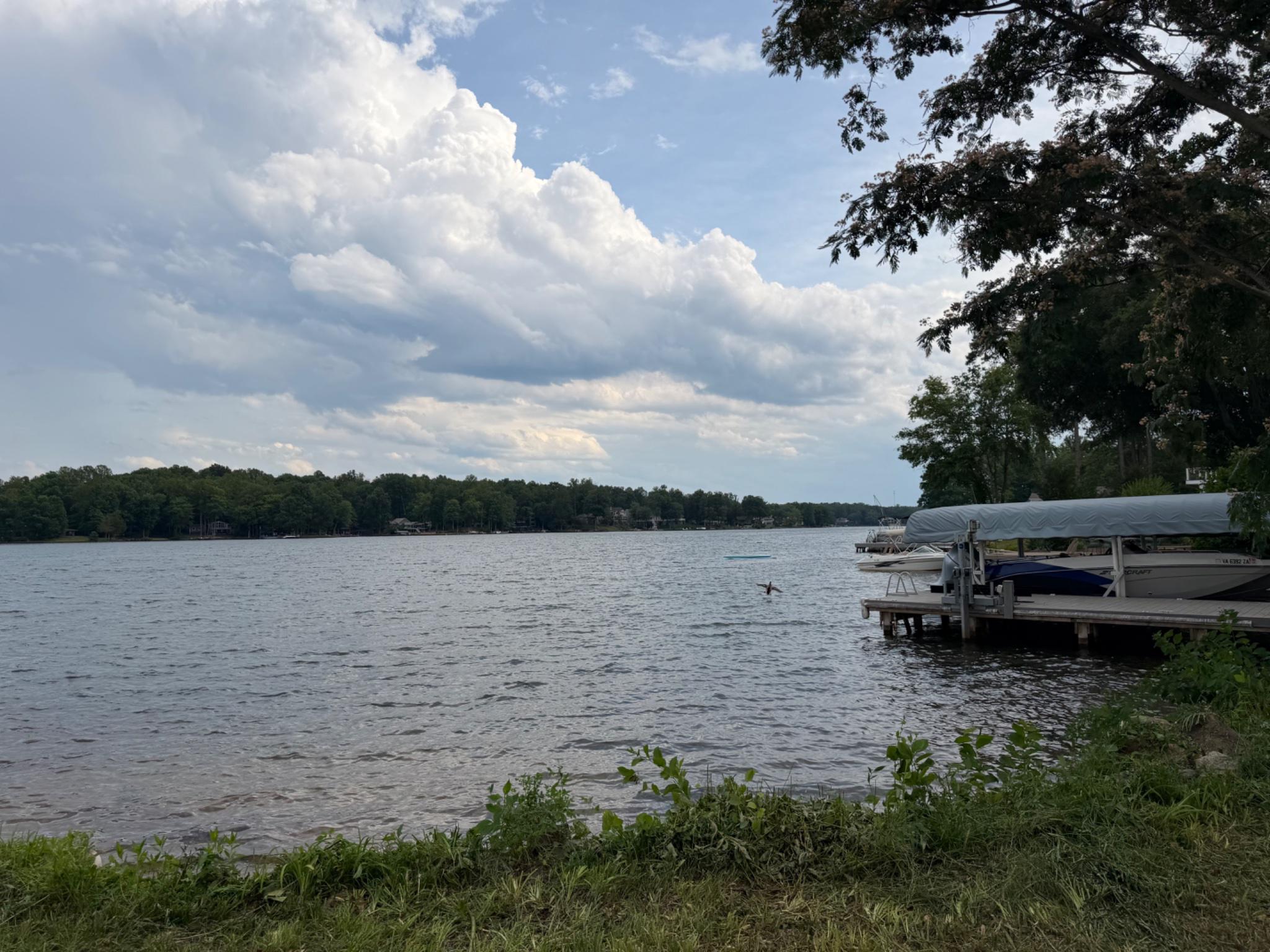 100 Flat Run Locust Grove, VA 22508 - Photo 5 of 9 Serene lakeside retreat awaits you.