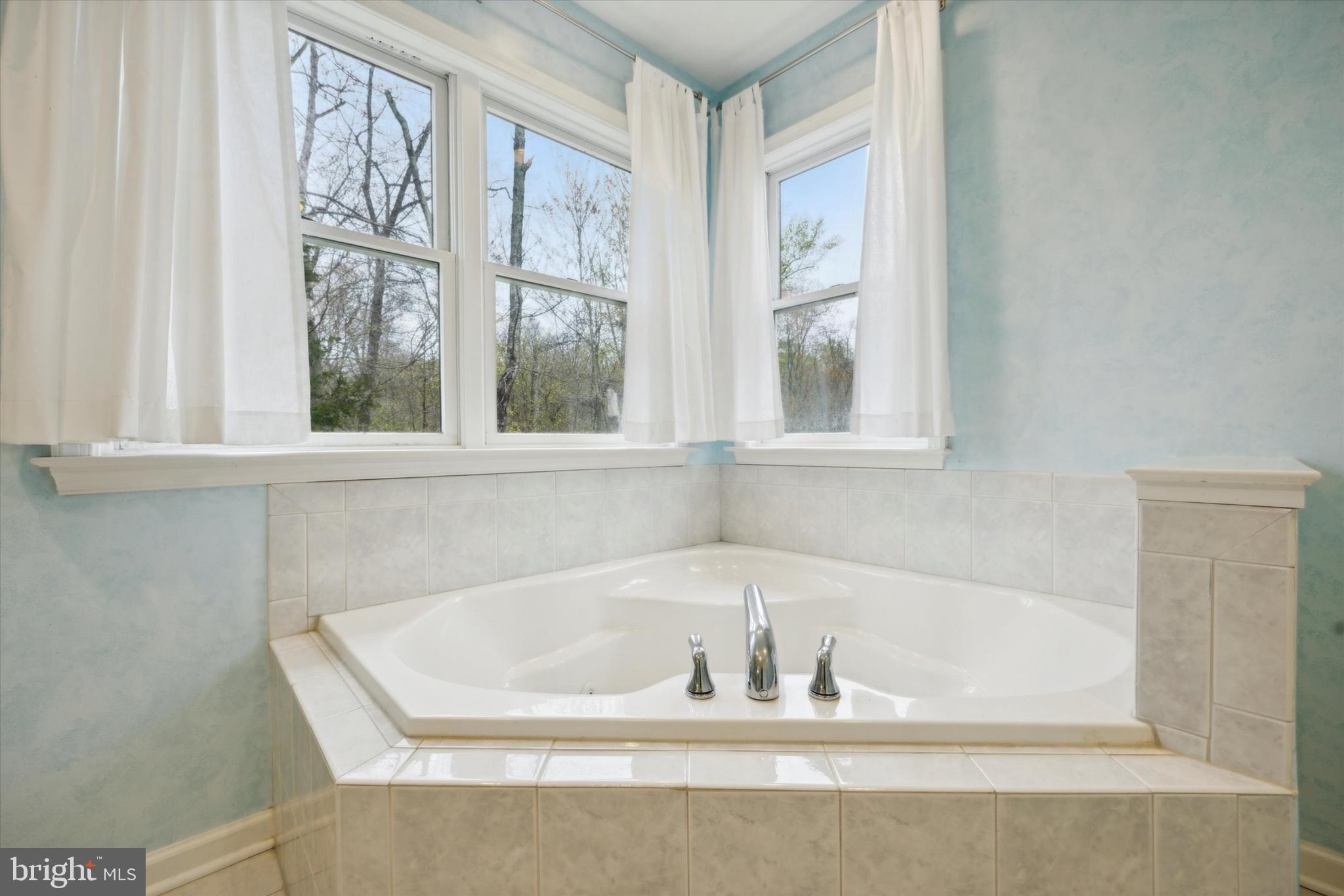 165 Roaring Rocks Road Upper Black Eddy, PA 18972 - Photo 33 of 64 Owner Bath with whirlpool tub