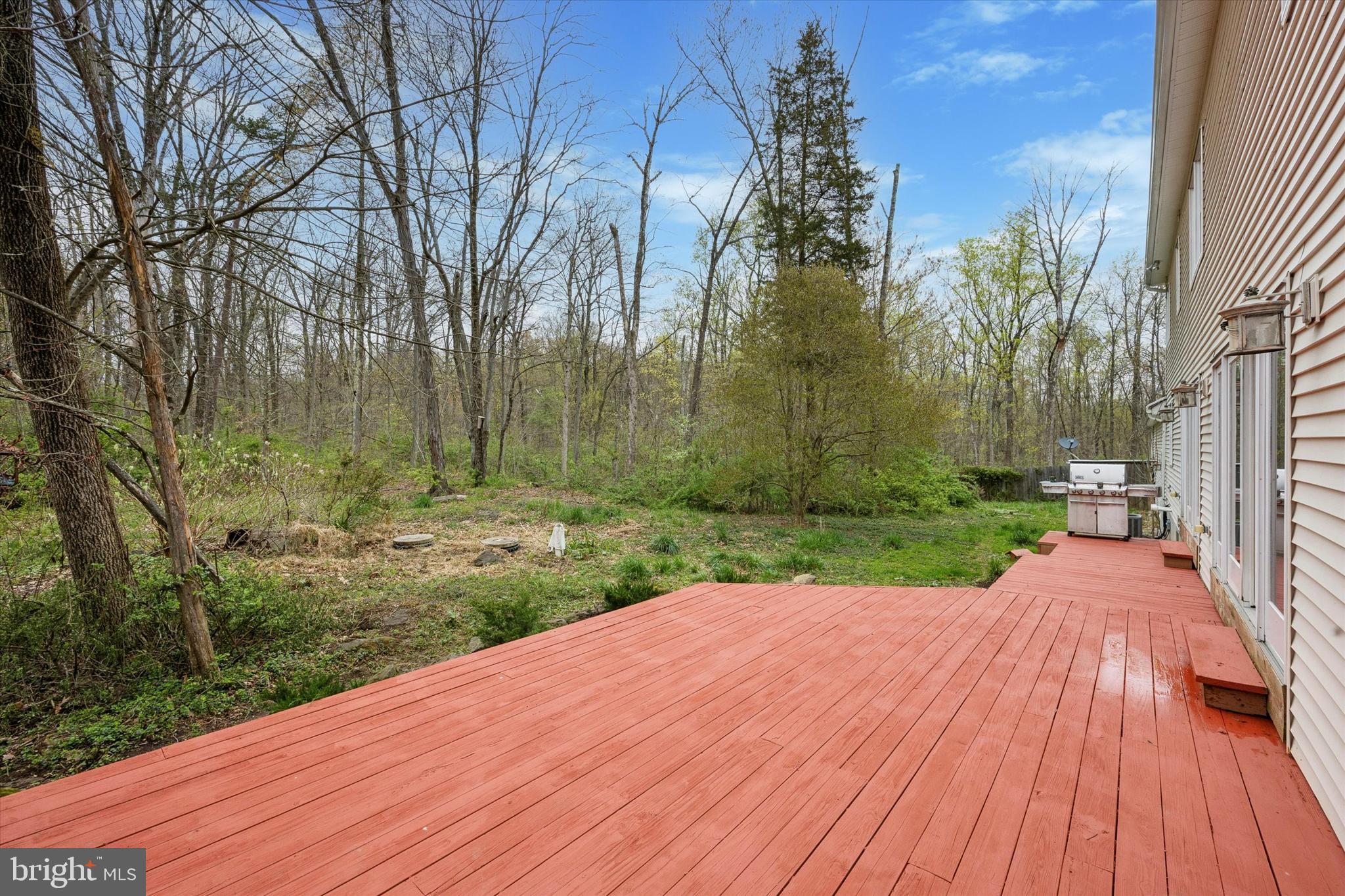 165 Roaring Rocks Road Upper Black Eddy, PA 18972 - Photo 50 of 64 Rear Deck
