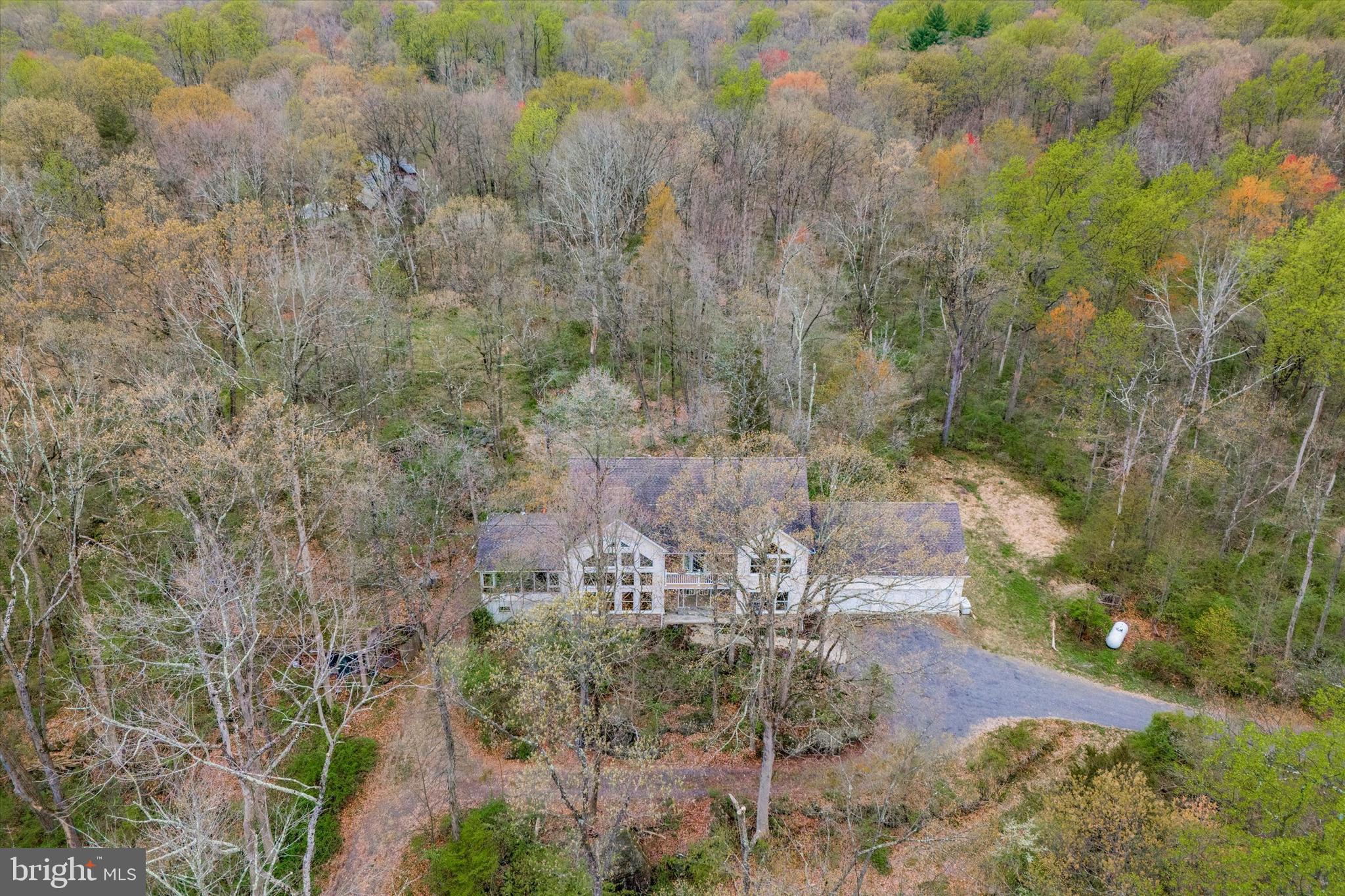 165 Roaring Rocks Road Upper Black Eddy, PA 18972 - Photo 51 of 64 Wooded setting